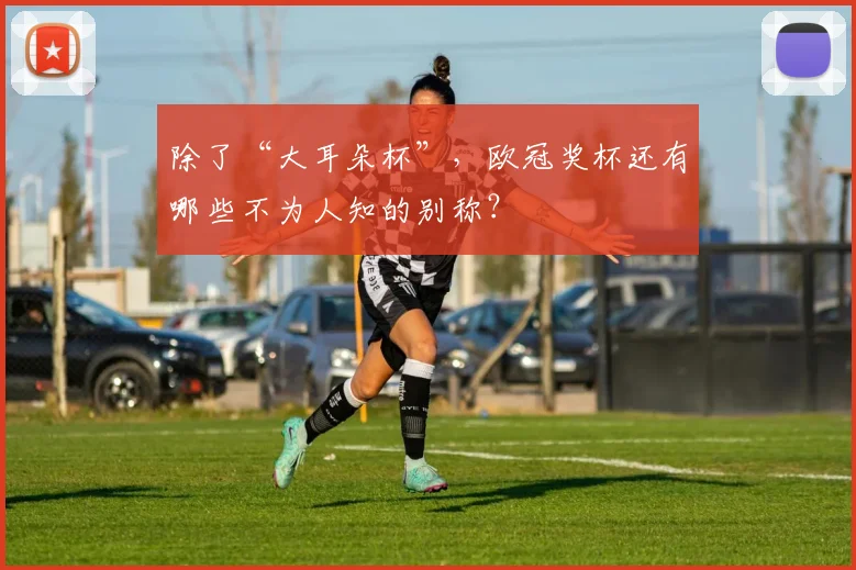 除了“大耳朵杯”，欧冠奖杯还有哪些不为人知的别称？