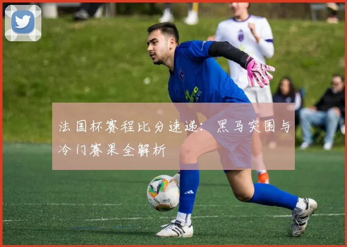 法国杯赛程比分速递：黑马突围与冷门赛果全解析