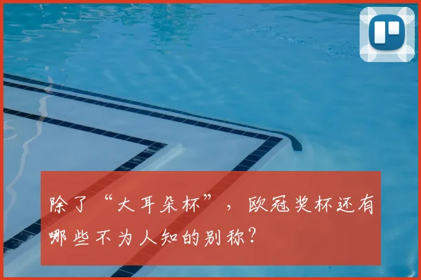 除了“大耳朵杯”，欧冠奖杯还有哪些不为人知的别称？