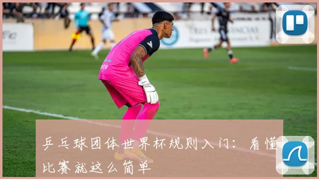 乒乓球团体世界杯规则入门：看懂比赛就这么简单